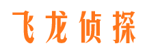 定州市调查公司